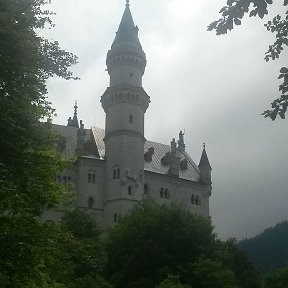 Фотография "Schloss Neuschwanstein"