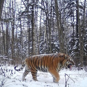 Фотография от Руслан Пасечников