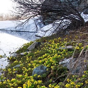 Фотография от Наталья Сухорукова