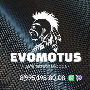 Фотография от автозапчасти EvoMotus