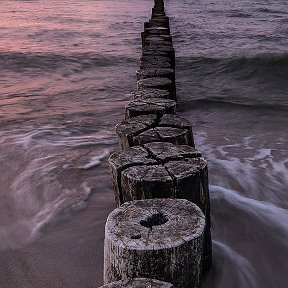 Фотография от Александра Ким