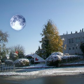 Фотография "Суперполнолуние в Береговом. Omsk. Сибирь."