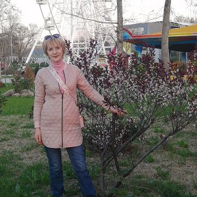 Фотография "9.04.24г.Сегодня в Анапе внимание привлёк фантастический аромат.Это вот этот вот маленький куст благоухает на всю набережную."