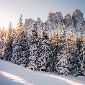 Фотография от Елисей и Вера Каникиевы (Аликова)