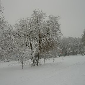 Фотография от Татьяна Торопова(Филатова)