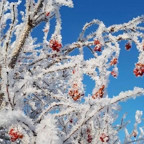 Фотография от Наталья Агафонычева