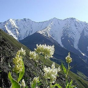 Фотография от САМЫЙ СЛАДКИЙ