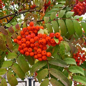 Фотография от Елена Казанцева