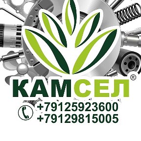 Фотография от Камсел Kamsel