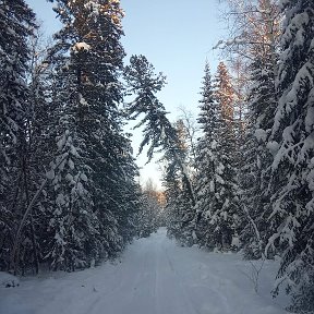 Фотография от Татьяна Савицкая