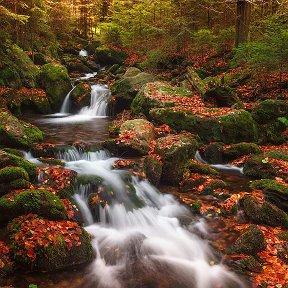 Фотография от венера закирова