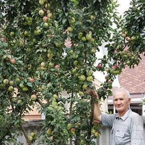 Фотография от ВАСИЛИЙ ПЕНКИН