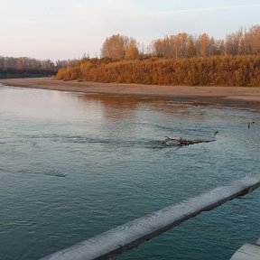 Фотография от Надежда Викторовна