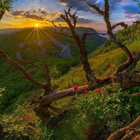 Фотография "Ласпи, Храм Солнца"