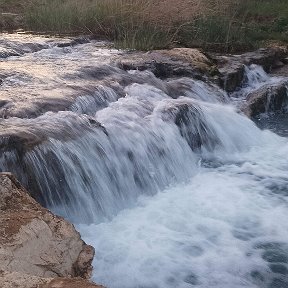 Фотография от Елена Луговая