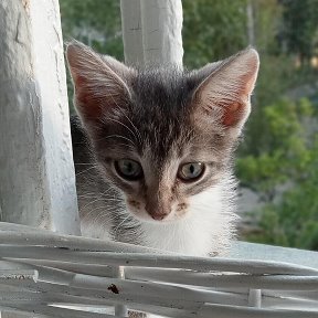 Фотография от Лариса Жукова Волкова Лачугина