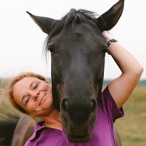 Фотография от Royal Horse Конный клуб Кострома