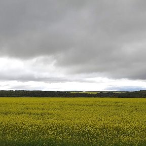 Фотография от Татьяна Бойко (Егорова )