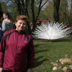 Фотография от Любовь Шабалина(Алимова)