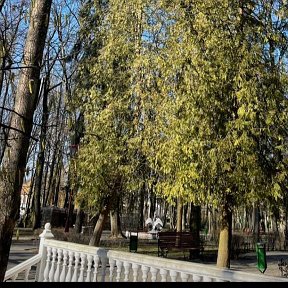 Фотография от Кобринский парк Суворова