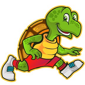 Фотография от Savvy Turtle