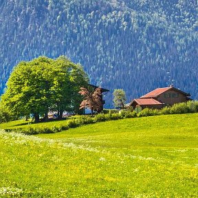 Фотография от Гулжан Маликова(замужем) 