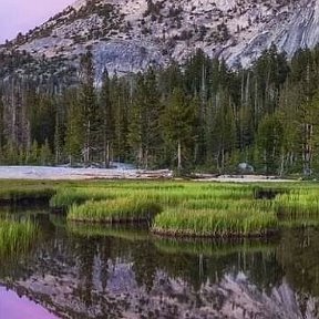 Фотография от Алла Замбжицкая (Поличенкова)