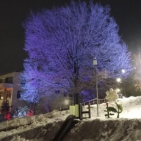 Фотография от Наталья Заостровцева