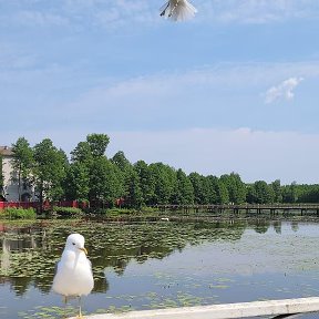 Фотография от Нина Василенко(Бескороваева)