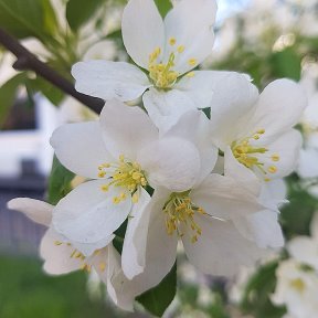 Фотография от Мария Вежновец