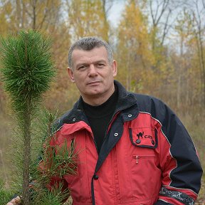 Фотография от Александр Некрасов