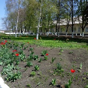 Фотография от Городская больница Волновахского