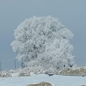 Фотография от Фаррух Гулмамадов