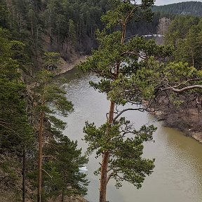 Фотография от Л А Овсянникова - Файзулина