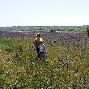 Фотография от Ольга Босевская(Акулиничева)