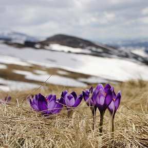 Фотография от ԵՍ ԵՍ ԵՄ Հայուհի