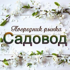 Фотография от Валентина Посредник Садовод