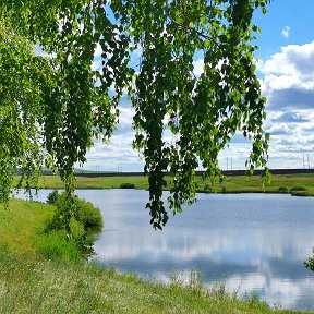 Фотография от александр агарков