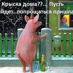 Фотография от ((( МЗИЯ ))) Уразова