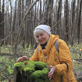 Фотография "Два тёплых,ласковых дня поздней осенью https://ok.ru/anna.krasnobaevagurskaya/statuses/156858991111123"