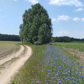 Фотография от Ольга Коцуба  (Гопта)