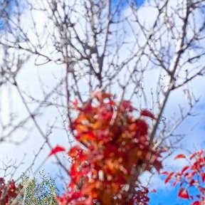 Фотография "14.09.23. Красивая осень, прекрасная погода, хорошее настроение, удачный день. (СЛАВА БОГУ ЗА ВСЁ))) "