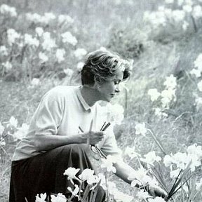 Фотография "О, если бы Цветы заговорили,
Какие б были нежные Слова...
Роза Герт"