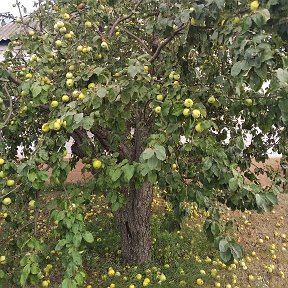 Фотография от Евгений Гладких