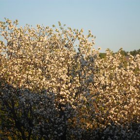 Фотография от Ольга Захарова(Илдаркина)