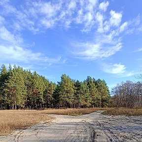 Фотография от Юлия Левина (Юдина)