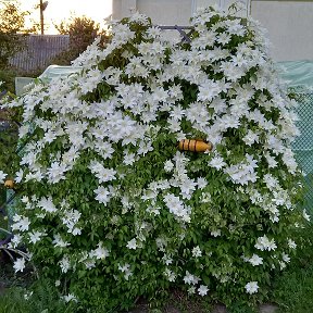 Фотография от Валентина Реутская (Дылькова)