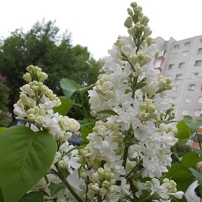 Фотография от Людмила Виноградова