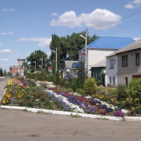 Фотография "давыдовка"