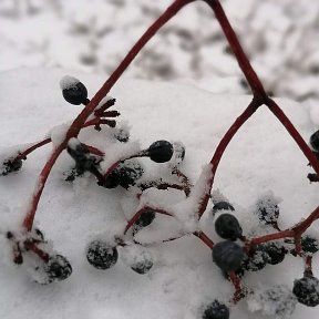 Фотография от Мария Невская